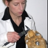 Skeletal measurements
